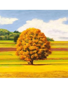 Llanuras Serenas I (detalle)