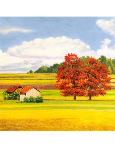 Serene Plains II (detalle)