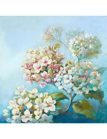 Nubes blancas perfectas