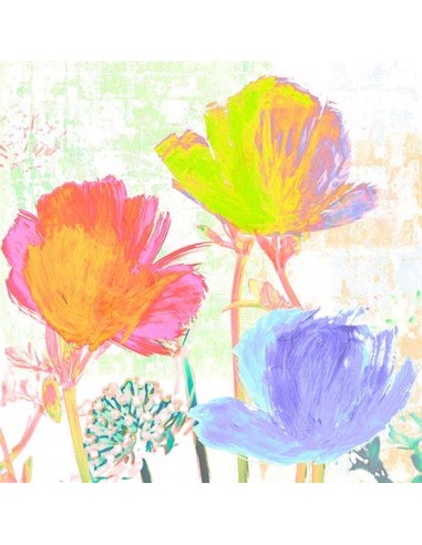 Entretenimiento de verano I