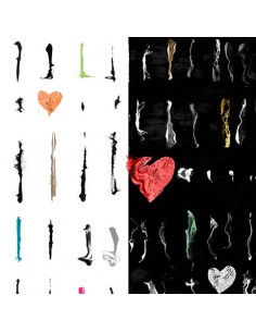 Acto de Persistencia 2