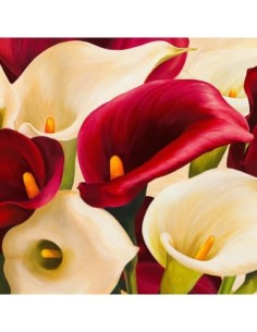 Composición de cala (detalle)