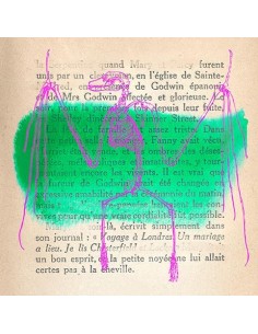 Recuerdos de lo salvaje II