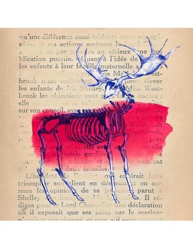 Recuerdos de lo salvaje III