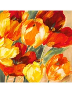 Tulipanes al sol II