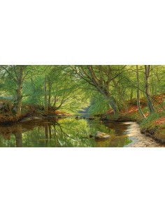 Un arroyo a través del bosque