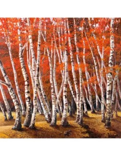 Bosque de abedules I