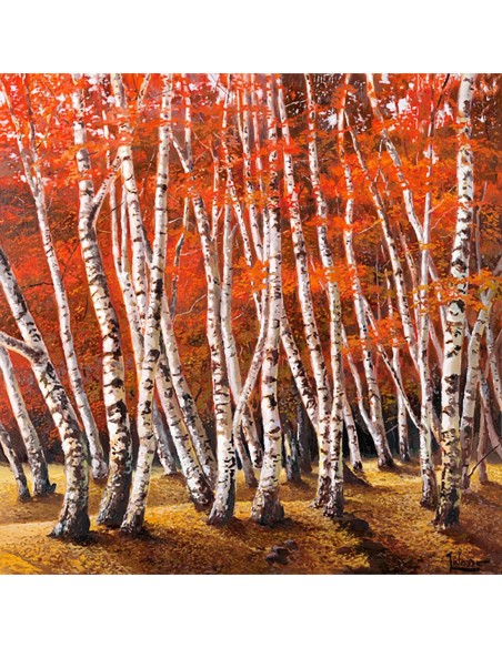 Bosque de abedules I