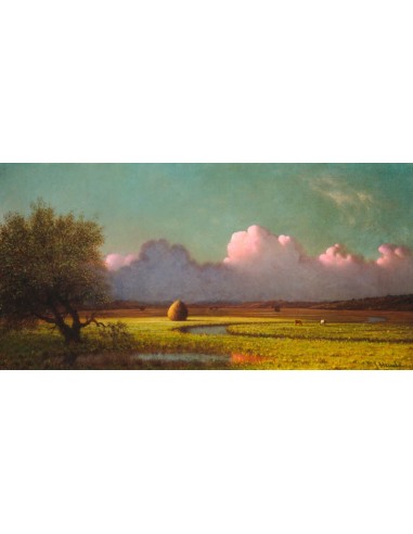 Luz solar y sombra: las marismas de Newbury