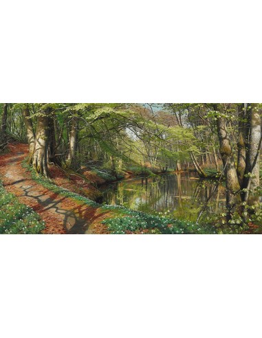 Un día de primavera en el bosque.