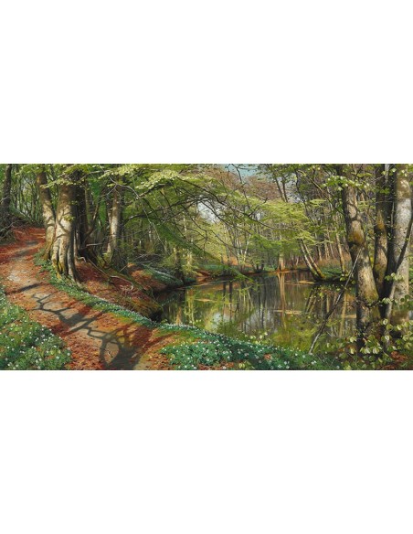 Un día de primavera en el bosque.