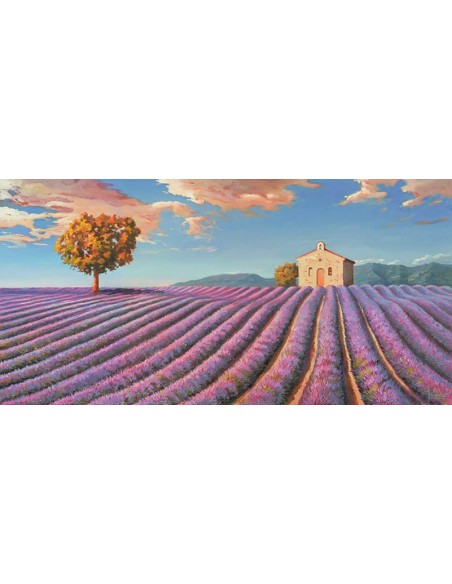 campos de lavanda