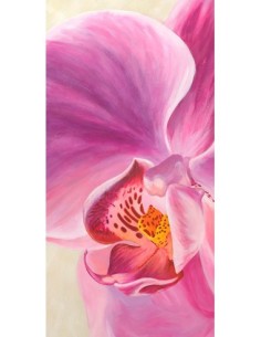 Orquídeas púrpuras I