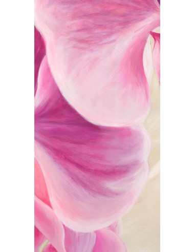 Orquídeas púrpuras II