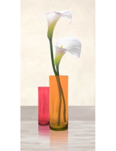 Calas en jarrones de cristal II