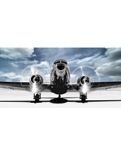 Avión despegando en un cielo azul