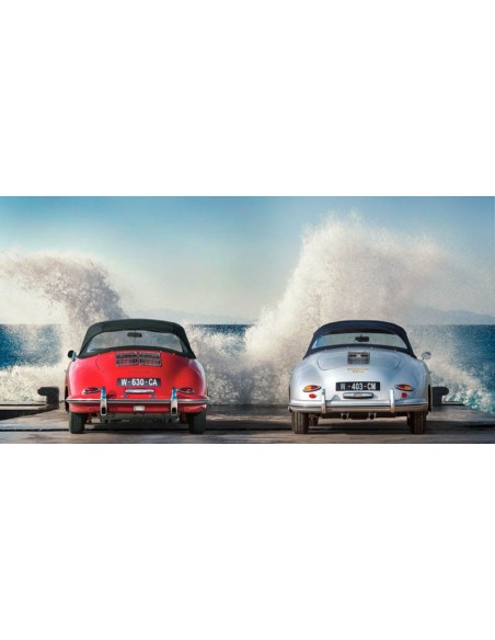 Olas del océano rompiendo sobre bellezas vintage