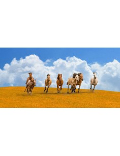 Manada de caballos salvajes