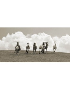 Manada de caballos salvajes (BW)