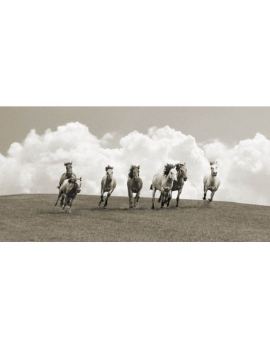 Manada de caballos salvajes (BW)