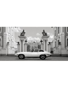 Princesa en el Palacio