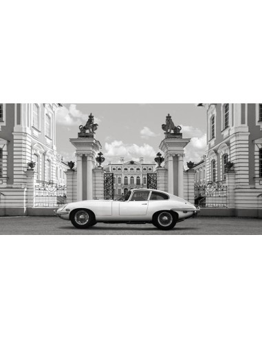 Princesa en el Palacio