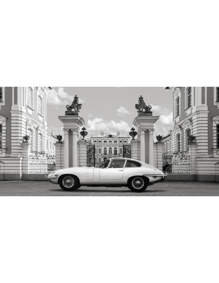 Princesa en el Palacio