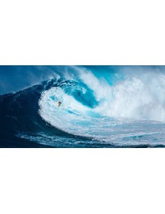 Surfeando la gran ola, Tasmania (detalle)