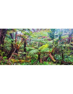 Bosque de palmeras y helechos, Hawái (detalle)