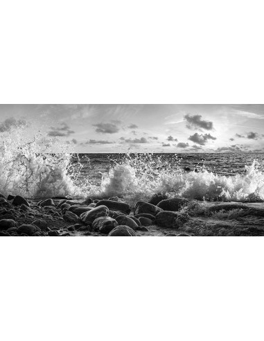 Olas rompiendo en Point Reyes, California (detalle, blanco y negro)
