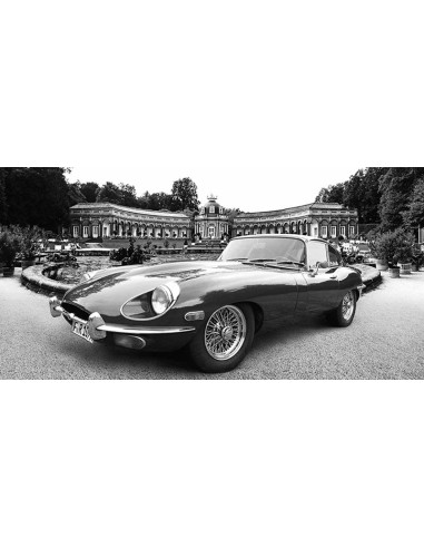 Coche deportivo clásico en un parque histórico