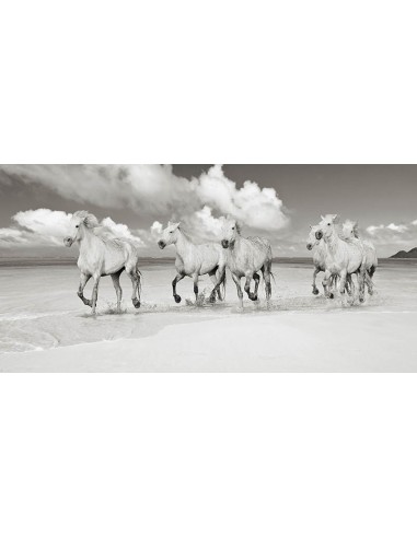 Hermanos de sangre, Playa Lanikai, Hawái (BW)