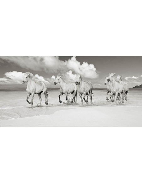 Hermanos de sangre, Playa Lanikai, Hawái (BW)