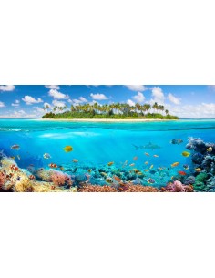 El arrecife de coral