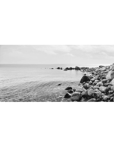 Guijarros en la playa (blanco y negro)