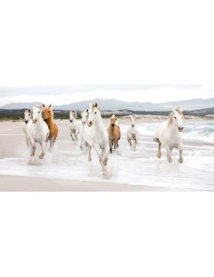 Caballos en la playa (detalle)
