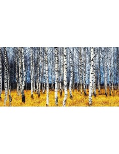 Bosque de abedules en otoño (detalle)