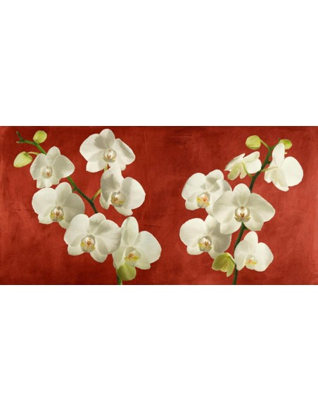 Orquídeas sobre fondo rojo