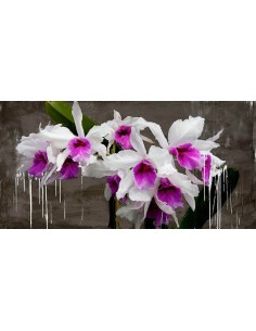 Pizarra de orquídeas