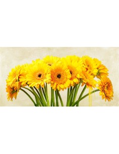 Abstracción de gerberas