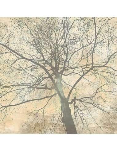 Debajo de mi árbol II (detalle)