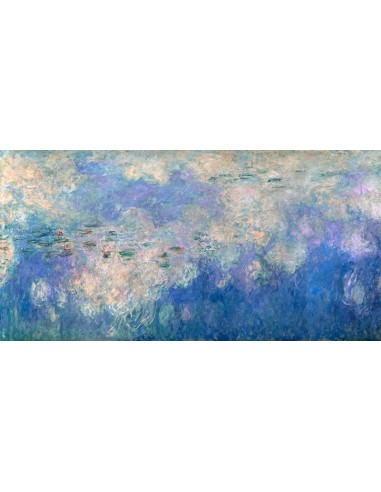 Detalle de Nenúfares: Las Nubes