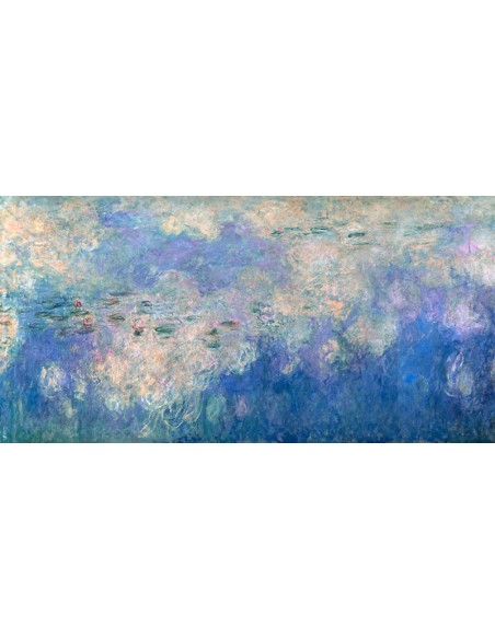 Detalle de Nenúfares: Las Nubes