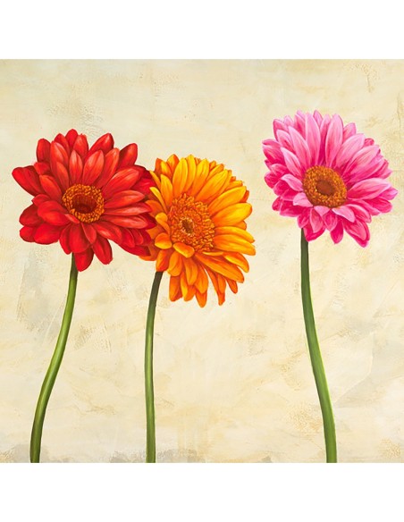 Gerberas (detalle)