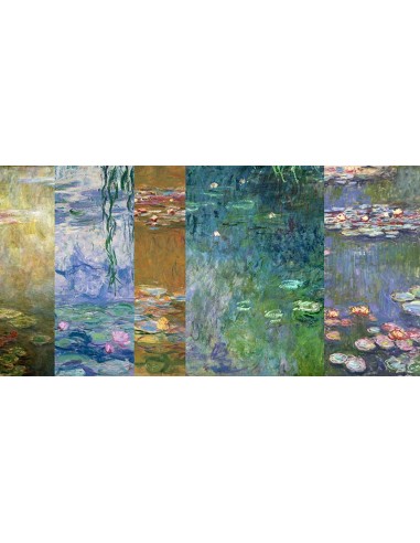 Monet Deco - Nenúfares IV