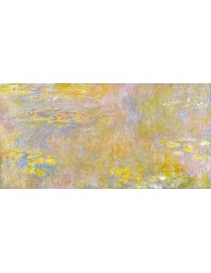 Nenúfares (Nirvana amarillo)