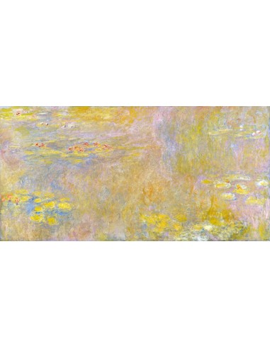 Nenúfares (Nirvana amarillo)