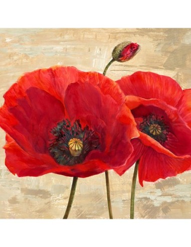 Amapolas rojas (detalle II)