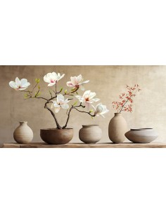 Jarrones y rama de magnolia