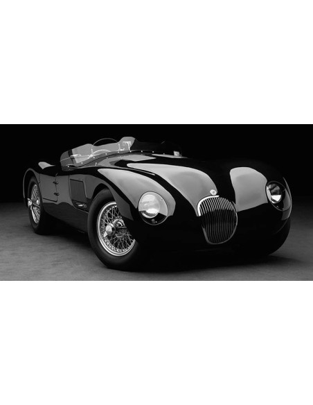 Jaguar C-Type (BW) de 1951